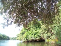 /album/galeria-de-fotos/rosy-315-jpg/